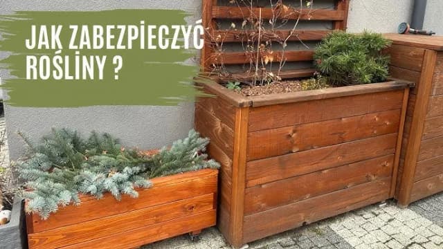 Jak zrobić termo donice, które ochronią rośliny przed zimnem Jak zrobić termo donice, które ochronią rośliny przed zimnem