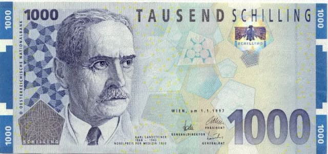 Jaka waluta była w Austrii przed euro? Poznaj historię szylinga Jaka waluta była w Austrii przed euro? Poznaj historię szylinga