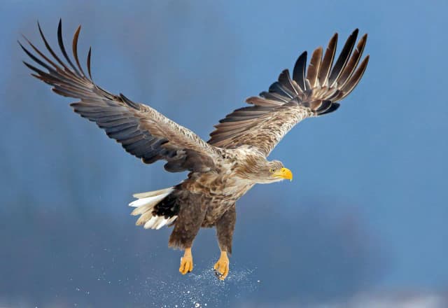 Warsztaty fotograficzne w RPA: uchwycić magię Safari w obiektywie Warsztaty fotograficzne w RPA: uchwycić magię Safari w obiektywie