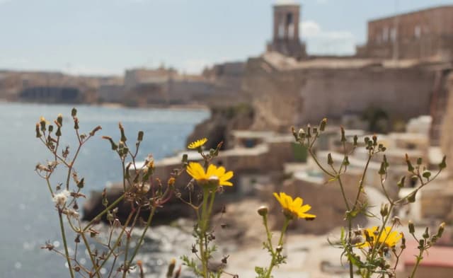 Malta czy bezpiecznie? Oto co musisz wiedzieć przed podróżą Malta czy bezpiecznie? Oto co musisz wiedzieć przed podróżą