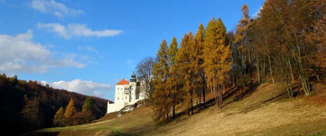 Najlepsze atrakcje w Pieskowej Skale, które musisz zobaczyć Najlepsze atrakcje w Pieskowej Skale, które musisz zobaczyć